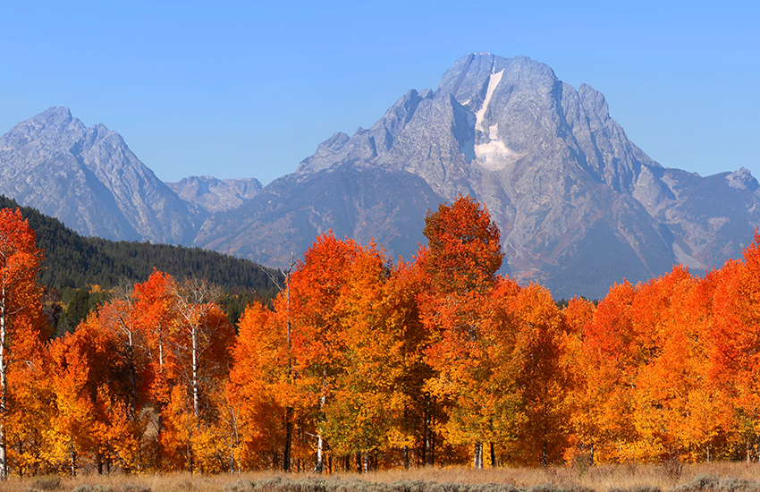 Top fall family destination to visit is Jackson Hole, Wyoming