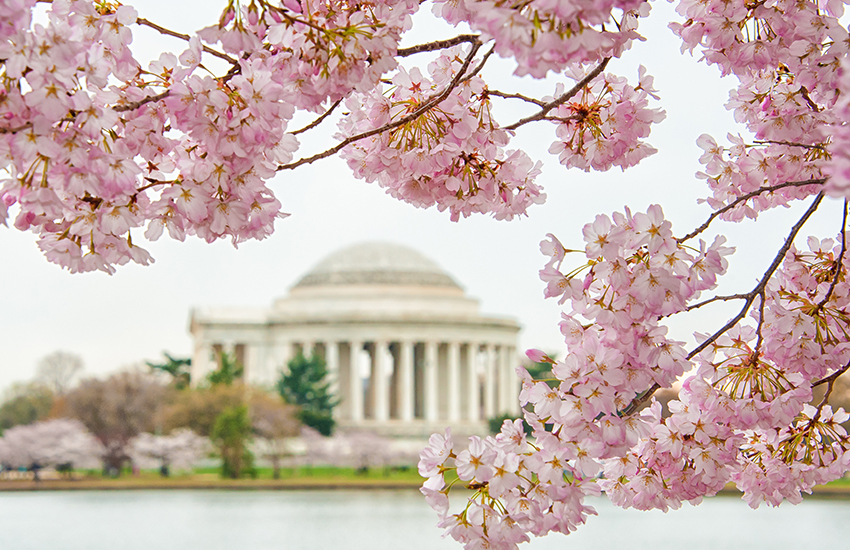 top spring break location ideas for photographers in Washington, D.C.