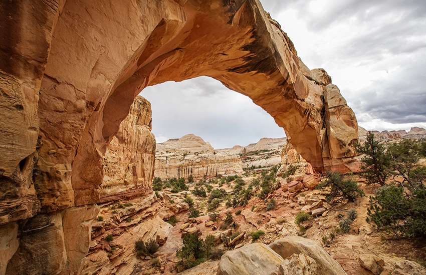 Spring top National Park to see is Capitol Reef National Park