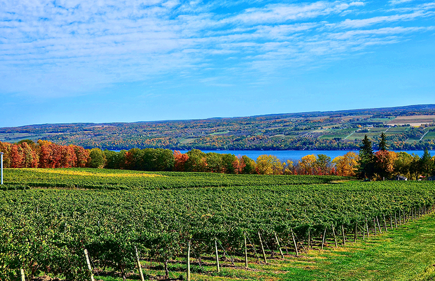 Finger Lakes