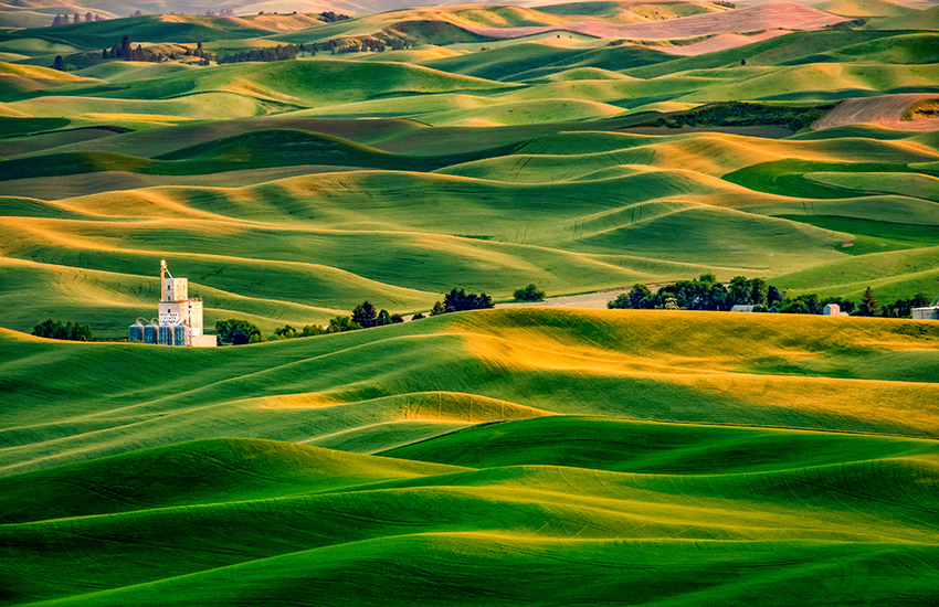 The Palouse