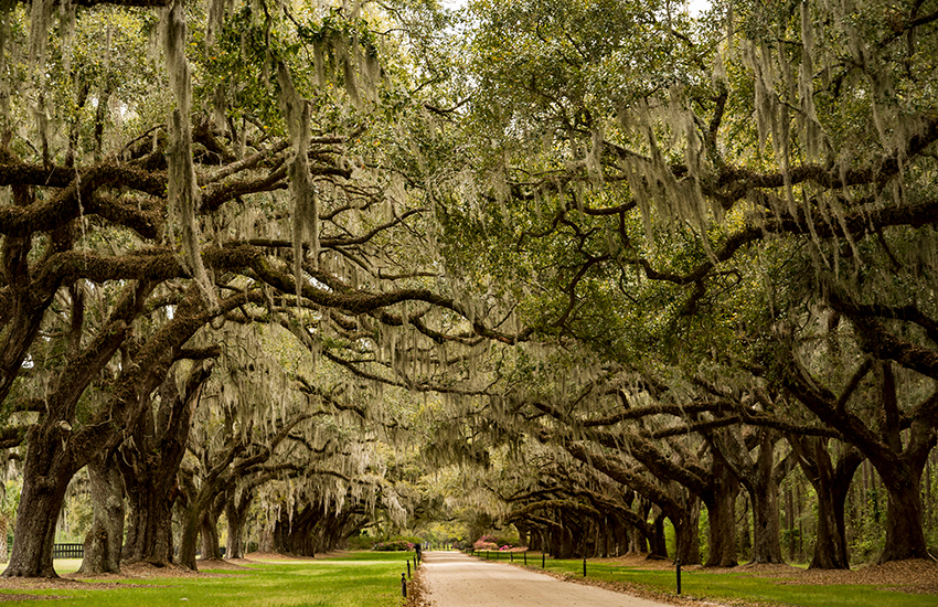 Charleston