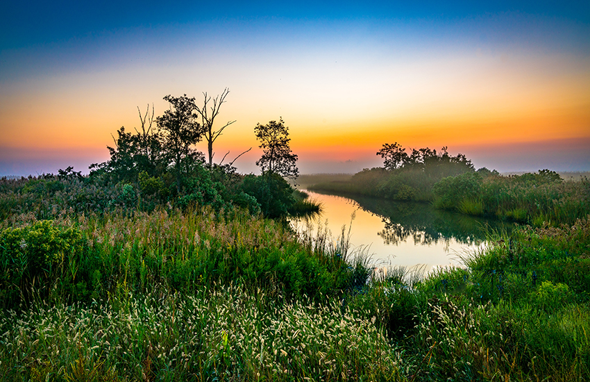 Bombay Hook National Wildlife Refuge