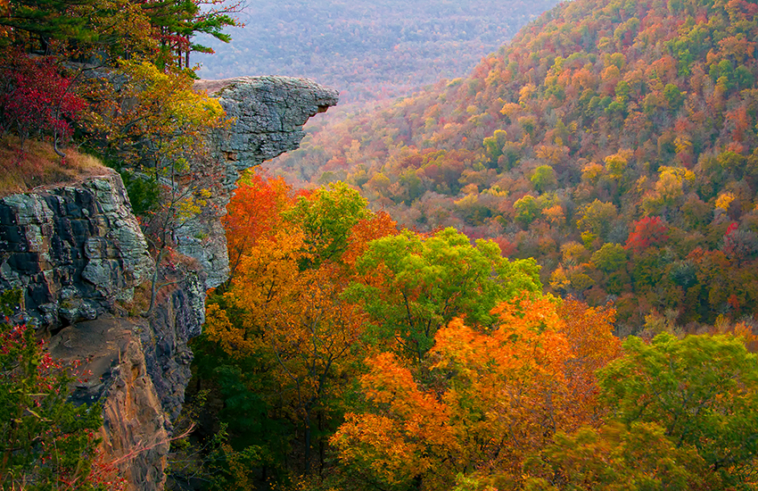 Whitaker Point