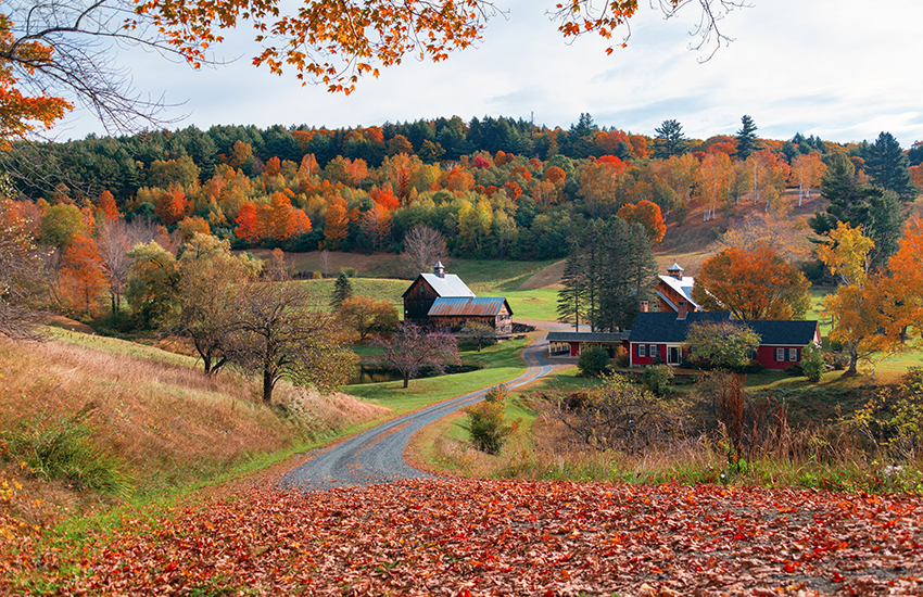 Jenne Farm