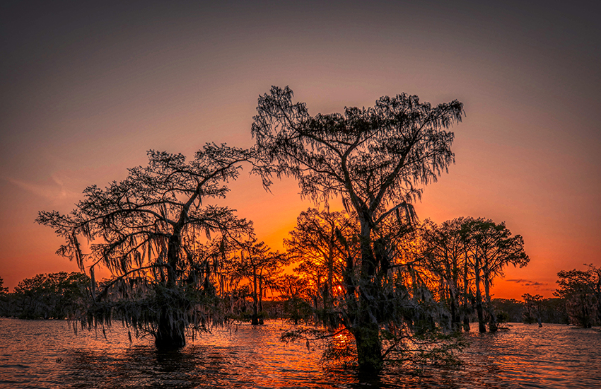 Atchafalaya Basin