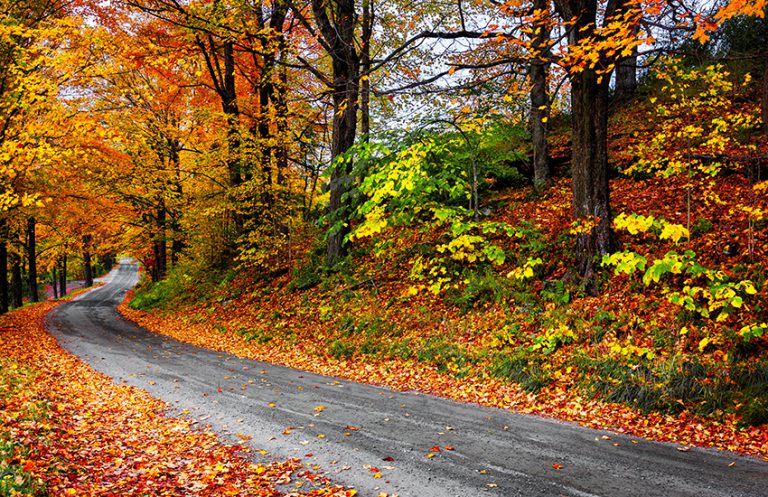 Fall Way 20 Best Fall Travel Social Media Captions - ShipGo Blog: The New Way To ...