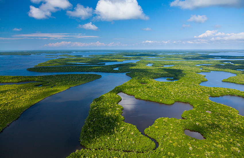 Everglades